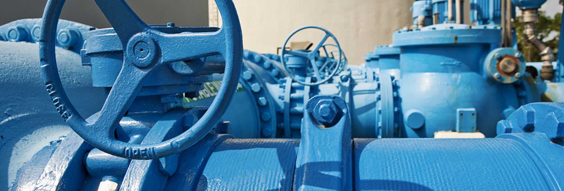 Self priming Pumps for Sale